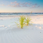 Plaża w Łebie