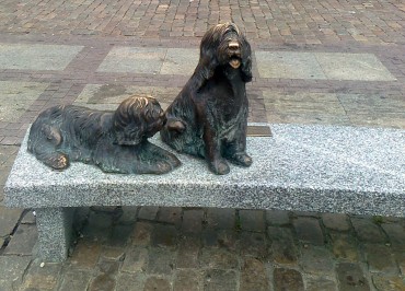 Ławeczka Danuty Hryniewicz